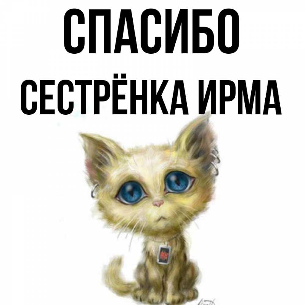 Открытка на каждый день с именем, Сестрёнка-Ирма Спасибо рисованный кот благодарит вас Прикольная открытка с пожеланием онлайн скачать бесплатно 