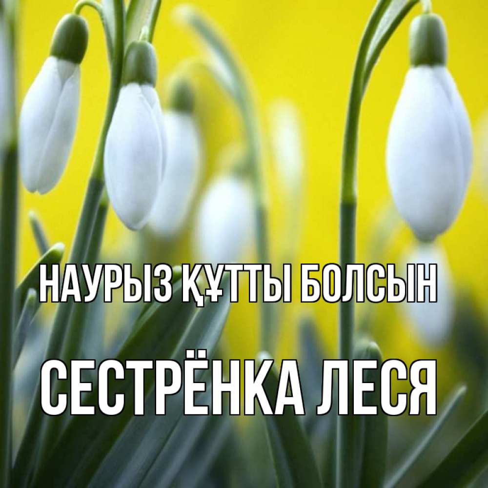 Картинка Наурыз құтты болсын, Сестрёнка Леся
