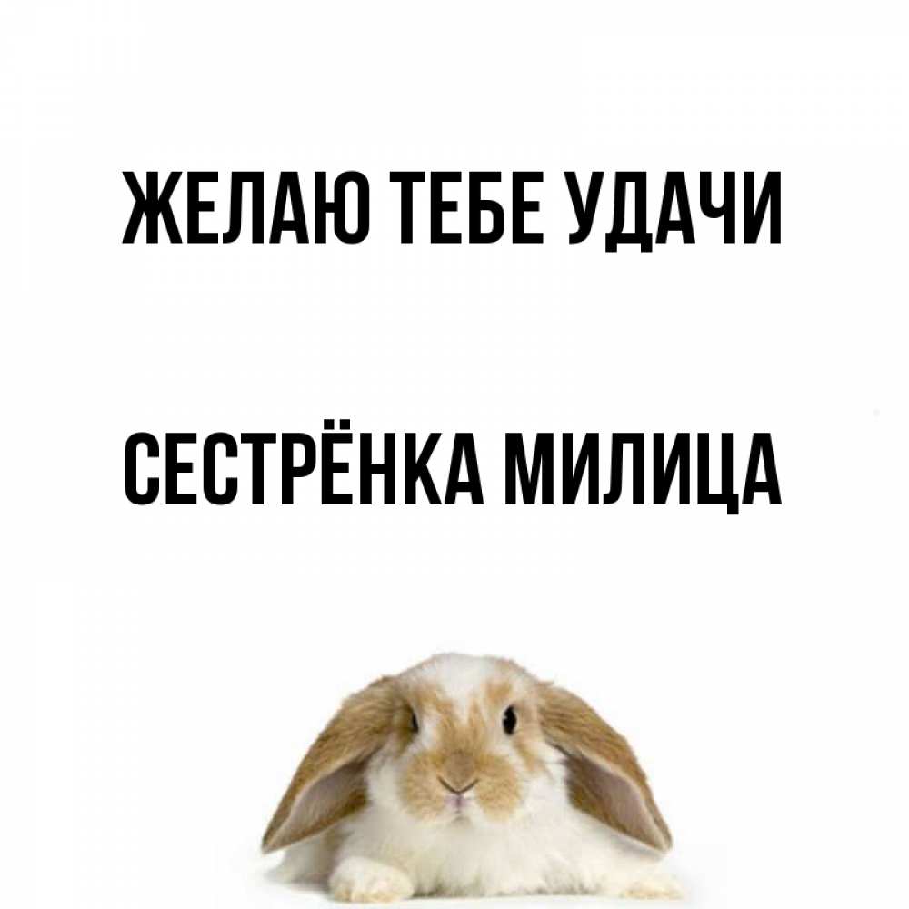 Открытка на каждый день с именем, Сестрёнка-Милица Желаю тебе удачи открытки с произвольным текстом который можно вставить в открытку и создать ее самостоятельно бесплатно онлайн Прикольная открытка с пожеланием онлайн скачать бесплатно 