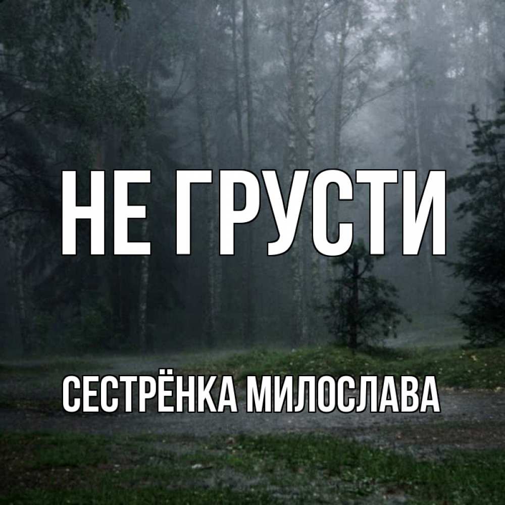 Открытка на каждый день с именем, Сестрёнка-Милослава Не грусти осень Прикольная открытка с пожеланием онлайн скачать бесплатно 