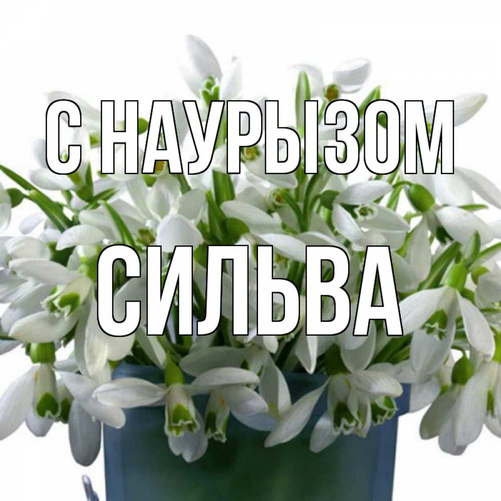 Открытка на каждый день с именем, Сильва С наурызом цветы к наурызу новый год в Казахстане Прикольная открытка с пожеланием онлайн скачать бесплатно 