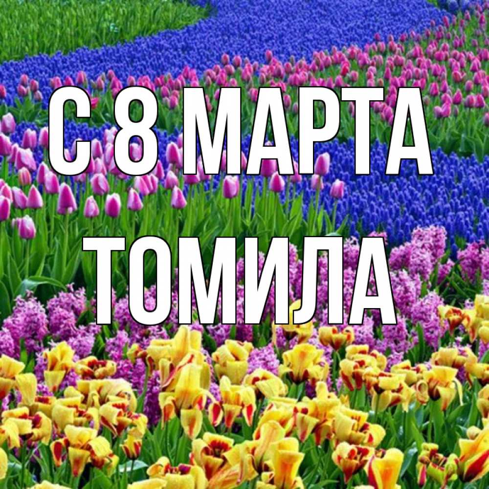 Открытка на каждый день с именем, Томила С 8 марта цветы Прикольная открытка с пожеланием онлайн скачать бесплатно 