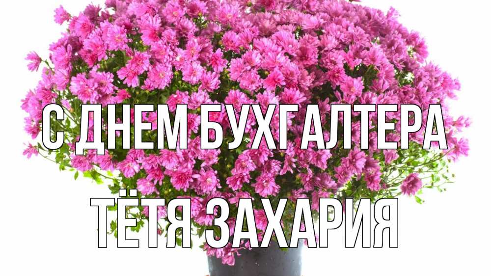 Открытка на каждый день с именем, Тётя-Захария С днем бухгалтера с днем бухгалтера Прикольная открытка с пожеланием онлайн скачать бесплатно 