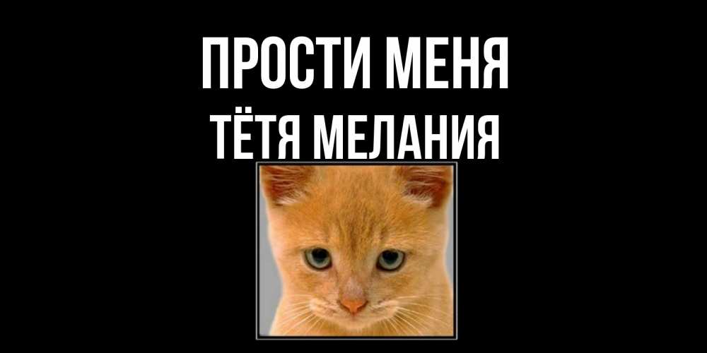 Открытка на каждый день с именем, Тётя-Мелания Прости меня рыжий грустный кот просит прощения Прикольная открытка с пожеланием онлайн скачать бесплатно 