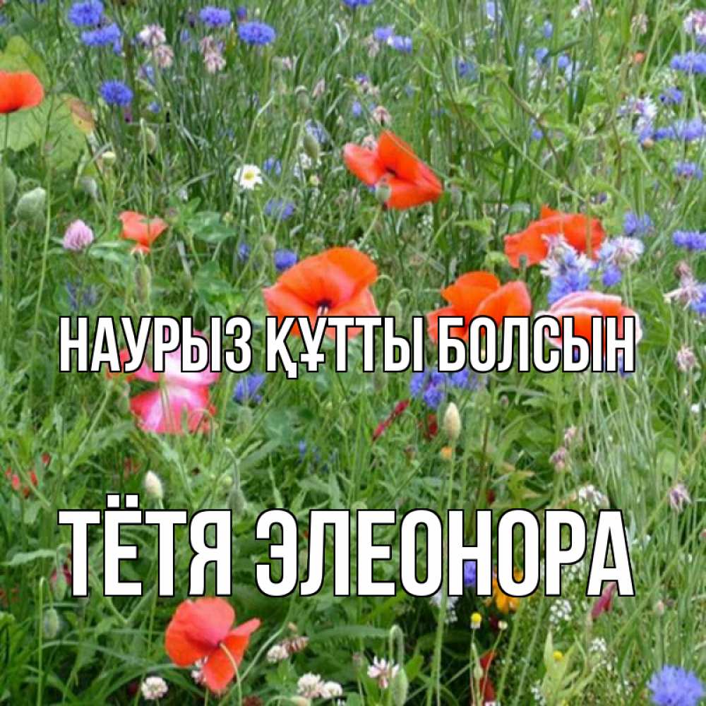 Открытка на каждый день с именем, Тётя-Элеонора Наурыз құтты болсын наурыз  4 Прикольная открытка с пожеланием онлайн скачать бесплатно 