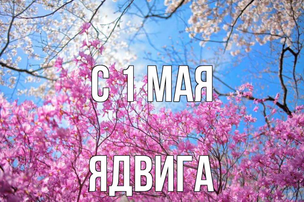 Открытка на каждый день с именем, Ядвига С 1 мая С 1 мая Прикольная открытка с пожеланием онлайн скачать бесплатно 