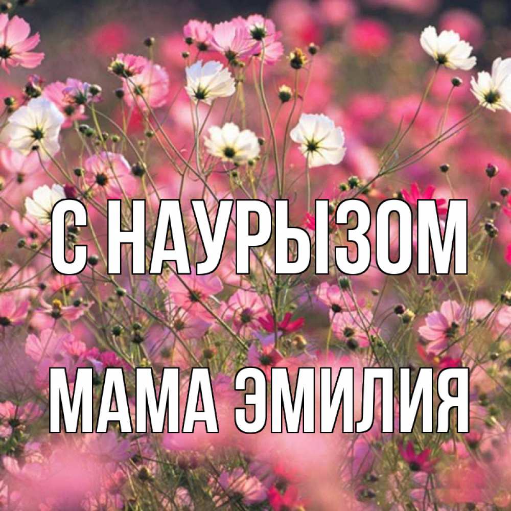 Открытка на каждый день с именем, Мама-Эмилия С наурызом красиво 1 Прикольная открытка с пожеланием онлайн скачать бесплатно 