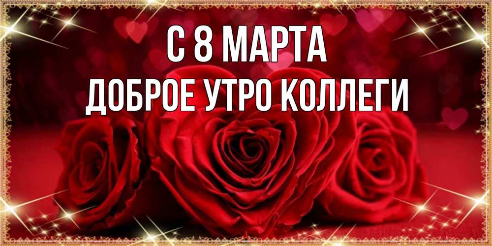 Открытка на каждый день с именем, Доброе-утро-Коллеги С 8 марта три красные розы Прикольная открытка с пожеланием онлайн скачать бесплатно 
