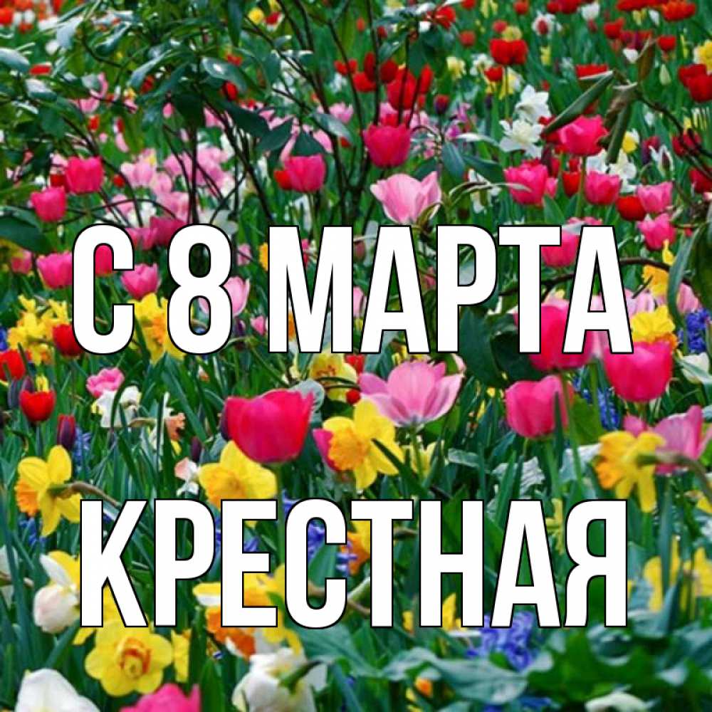 Открытка на каждый день с именем, Крестная С 8 МАРТА с международным женским днем поздравления для женщины Прикольная открытка с пожеланием онлайн скачать бесплатно 