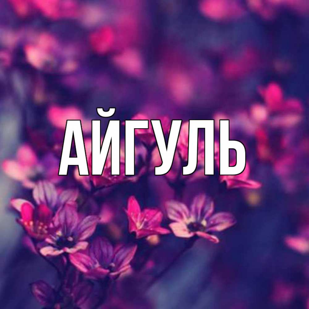 Фиксиками, картинки с именем айгуль с днем рождения