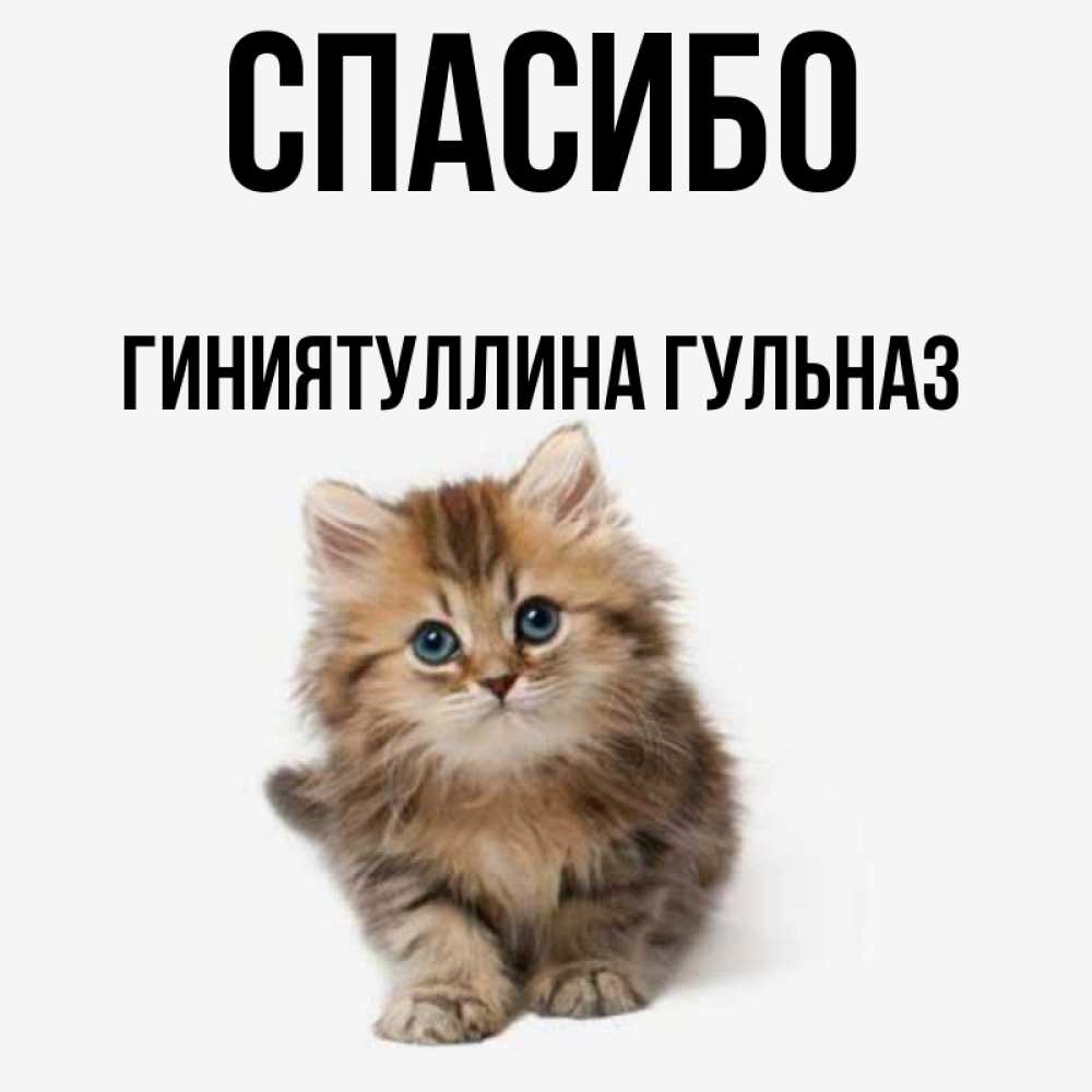 Открытка с именем, Гиниятуллина Гульназ, Спасибо