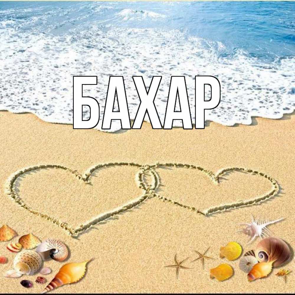 Открытка на каждый день с именем, Бахар Главная ракушки Прикольная открытка с пожеланием онлайн скачать бесплатно 