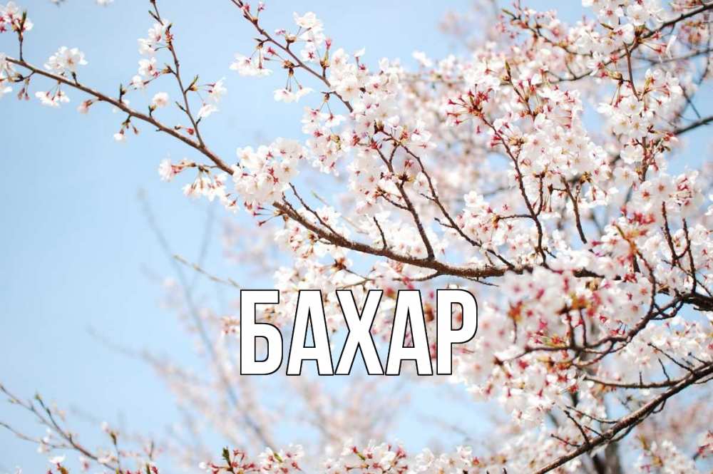 Открытка на каждый день с именем, Бахар Главная С 1 мая Прикольная открытка с пожеланием онлайн скачать бесплатно 
