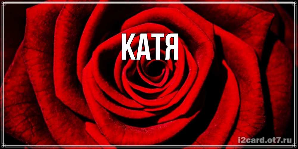 Открытка на каждый день с именем, Катя Главная алая роза Прикольная открытка с пожеланием онлайн скачать бесплатно 