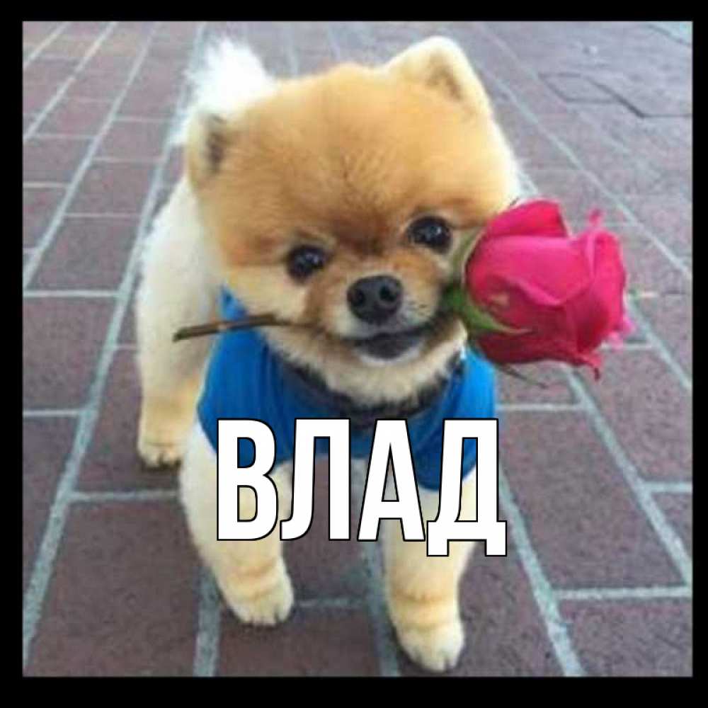 Картинка  с именем , Влад