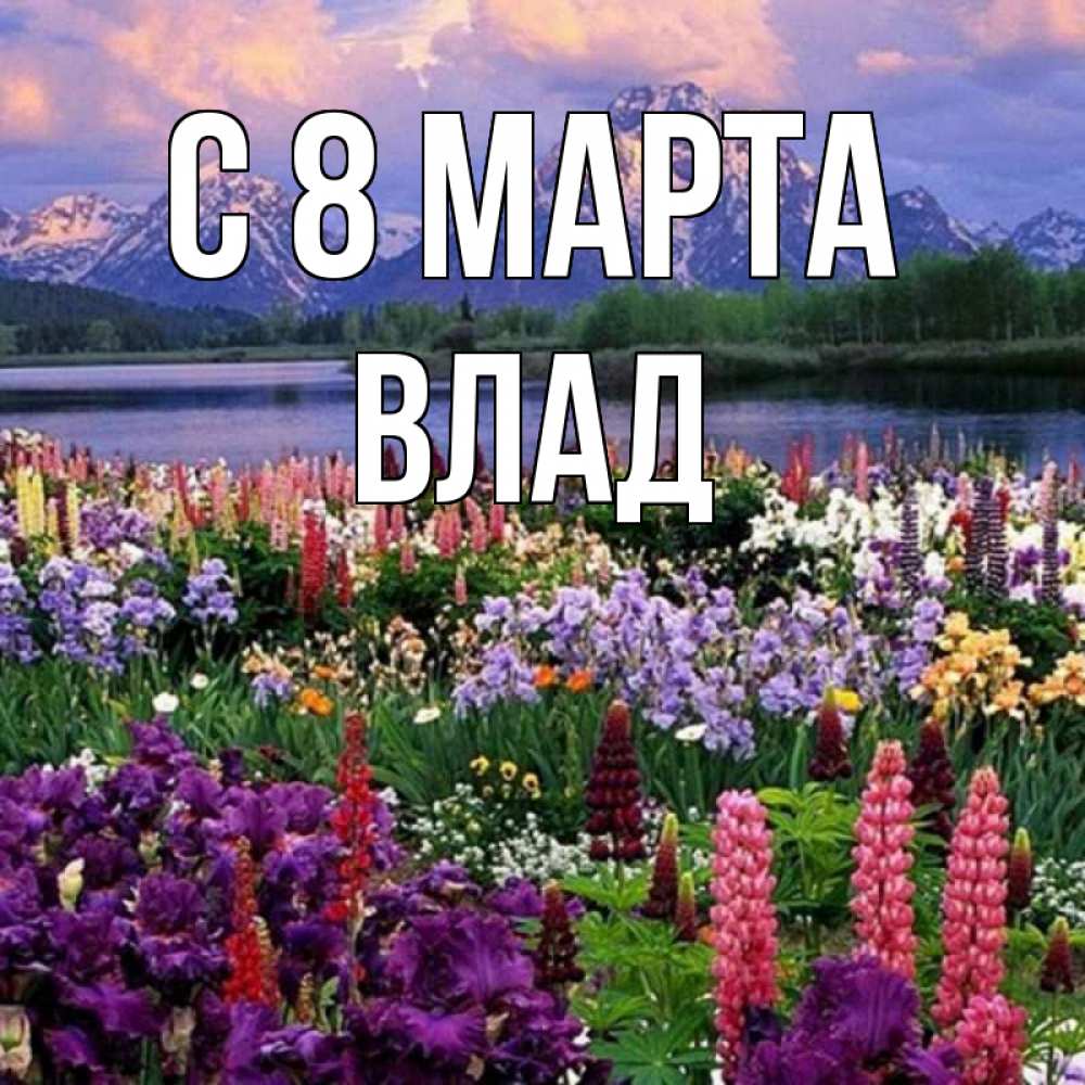 Открытка на каждый день с именем, Влад С 8 МАРТА международный женский день Прикольная открытка с пожеланием онлайн скачать бесплатно 