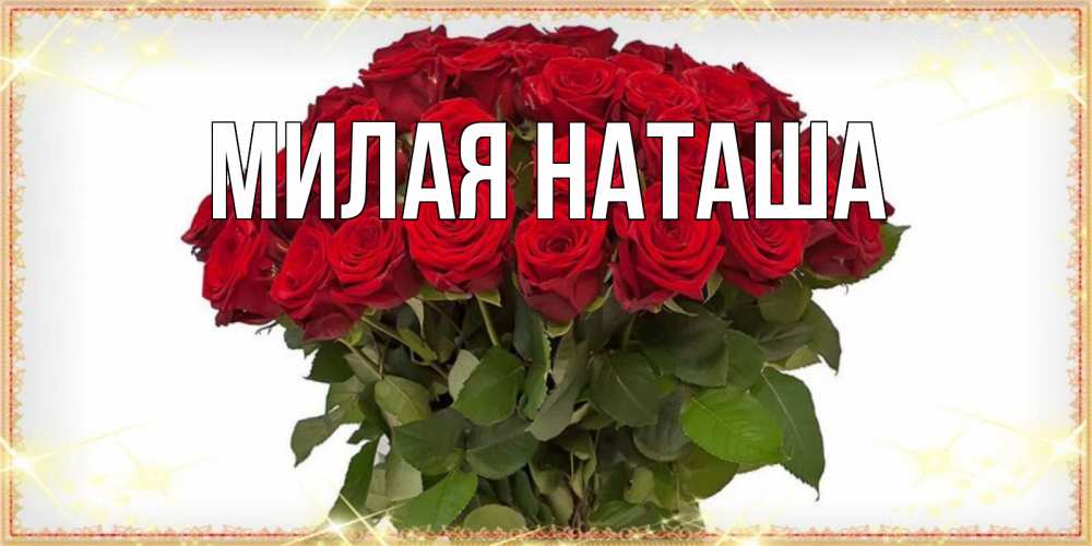 Главная наташа