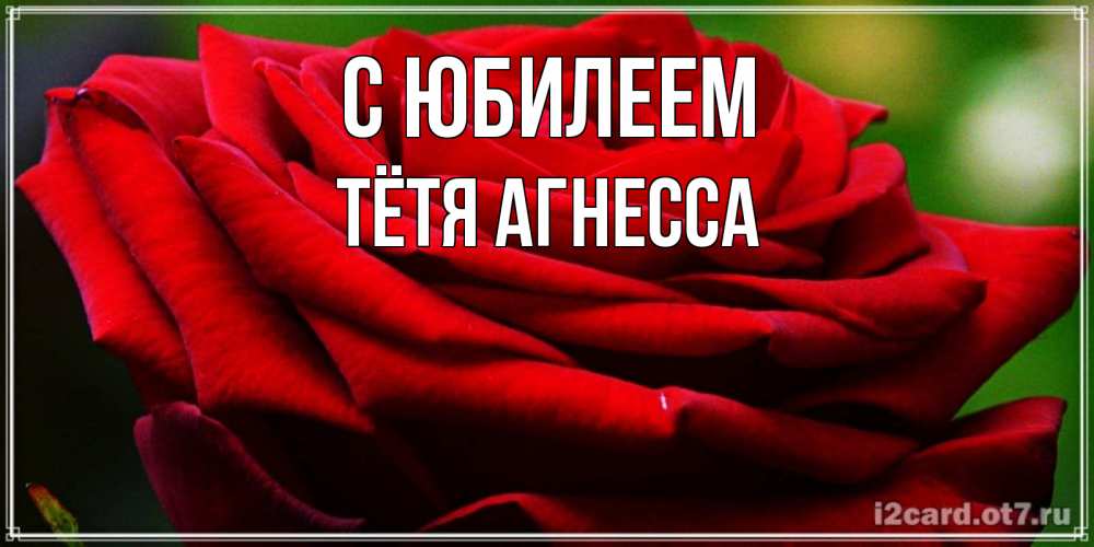 Открытка на каждый день с именем, Тётя-Агнесса С юбилеем розочка очень красивая Прикольная открытка с пожеланием онлайн скачать бесплатно 