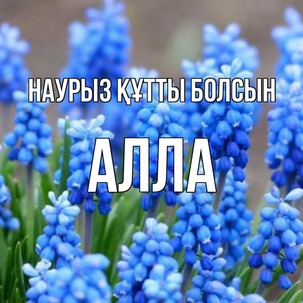 Открытка на каждый день с именем, Алла Наурыз құтты болсын Поздравительная открытка для женщин с цветами на праздничную дату Прикольная открытка с пожеланием онлайн скачать бесплатно 