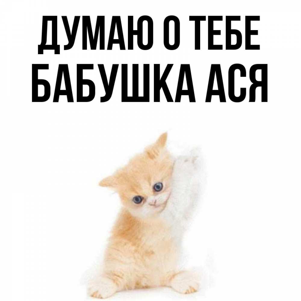 Открытка на каждый день с именем, Бабушка-Ася Думаю о тебе зверушки и милота Прикольная открытка с пожеланием онлайн скачать бесплатно 