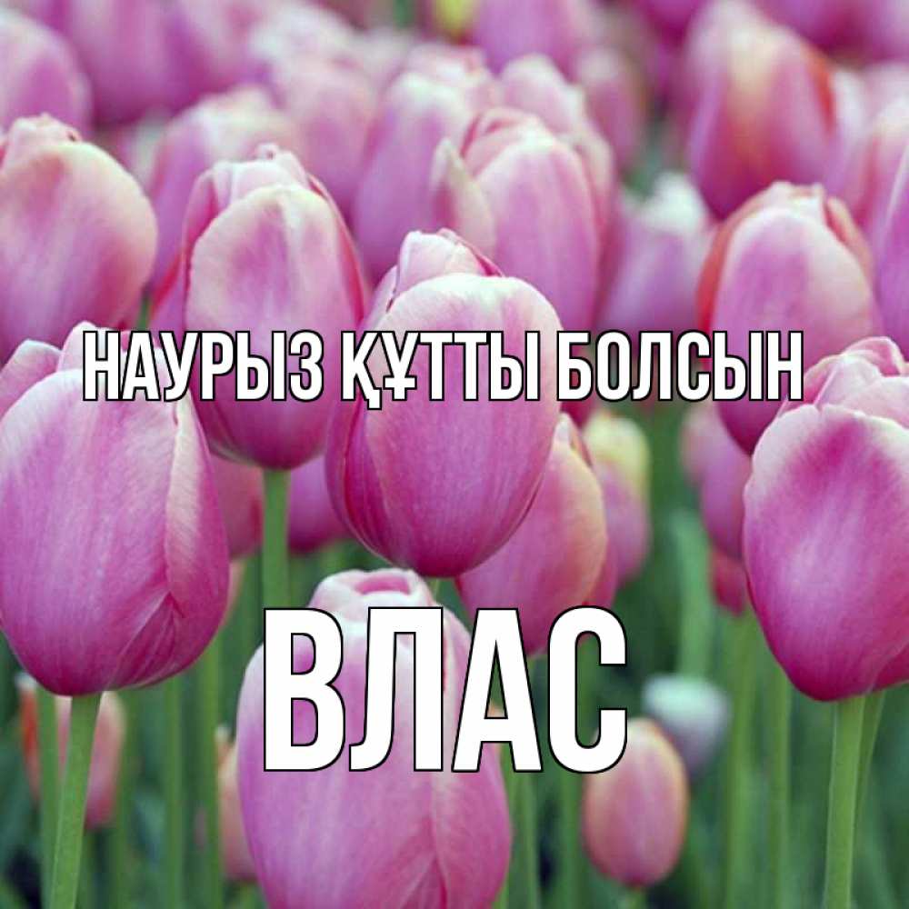 Открытка на каждый день с именем, Влас Наурыз құтты болсын на наурыз  день 3 Прикольная открытка с пожеланием онлайн скачать бесплатно 