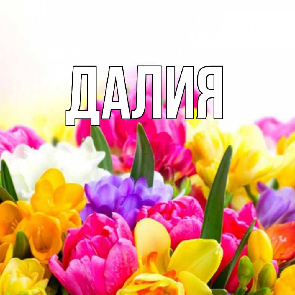 Открытка на каждый день с именем, Далия Главная тюльпаны Прикольная открытка с пожеланием онлайн скачать бесплатно 