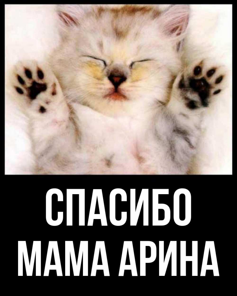 Открытка на каждый день с именем, Мама-Арина Спасибо маленький котенок Прикольная открытка с пожеланием онлайн скачать бесплатно 