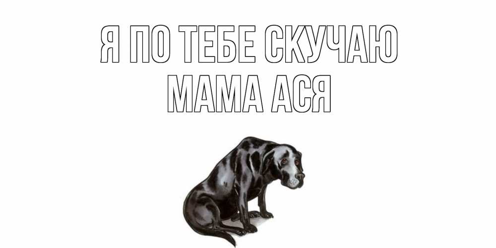 Открытка на каждый день с именем, Мама-Ася Я по тебе скучаю я по тебе скучаю открытка с собакой Прикольная открытка с пожеланием онлайн скачать бесплатно 