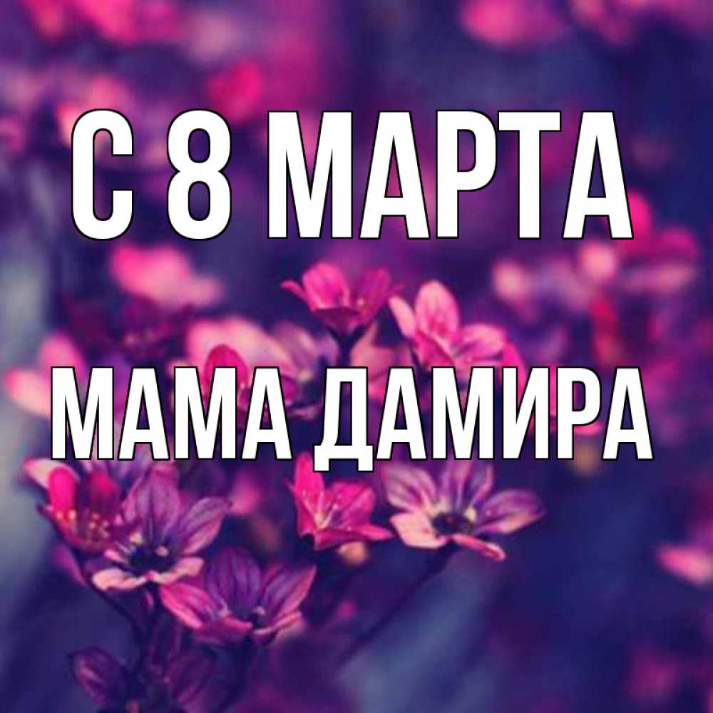 Открытка на каждый день с именем, Мама-Дамира С 8 марта небольшие цветы 1 Прикольная открытка с пожеланием онлайн скачать бесплатно 
