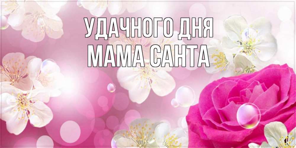 Открытка на каждый день с именем, Мама-Санта Удачного дня красивые цветы Прикольная открытка с пожеланием онлайн скачать бесплатно 