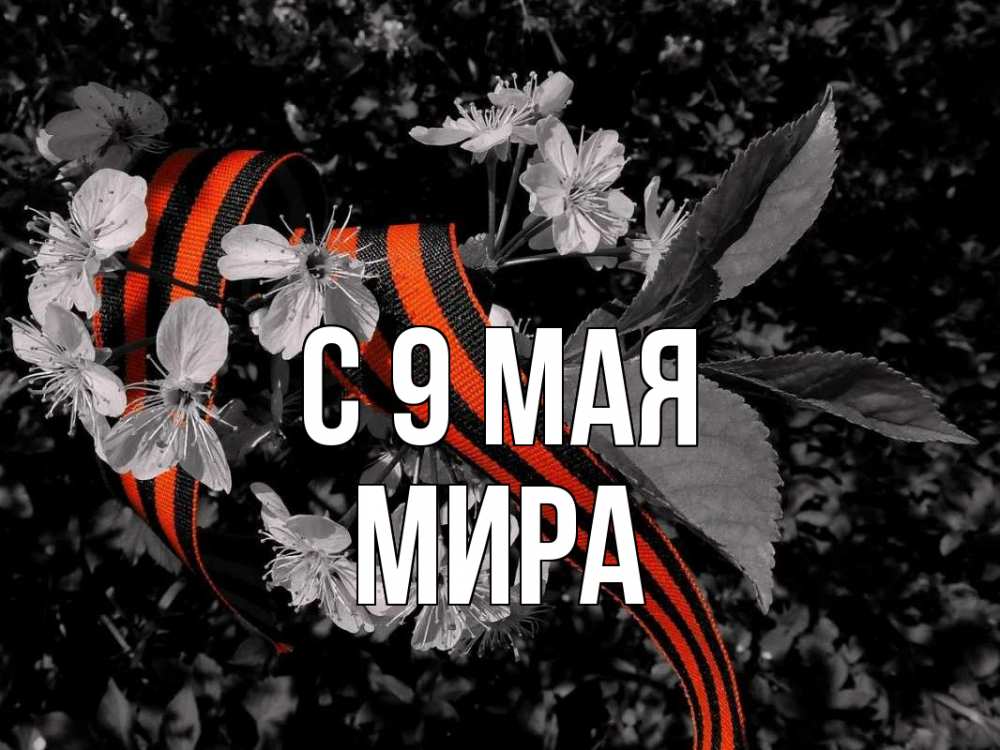 Открытка на каждый день с именем, Мира С 9 мая 9 мая Прикольная открытка с пожеланием онлайн скачать бесплатно 
