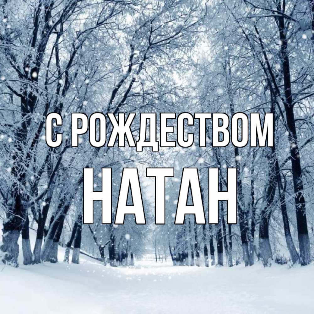 Открытка на каждый день с именем, Натан С рождеством снег, лес, парк Прикольная открытка с пожеланием онлайн скачать бесплатно 