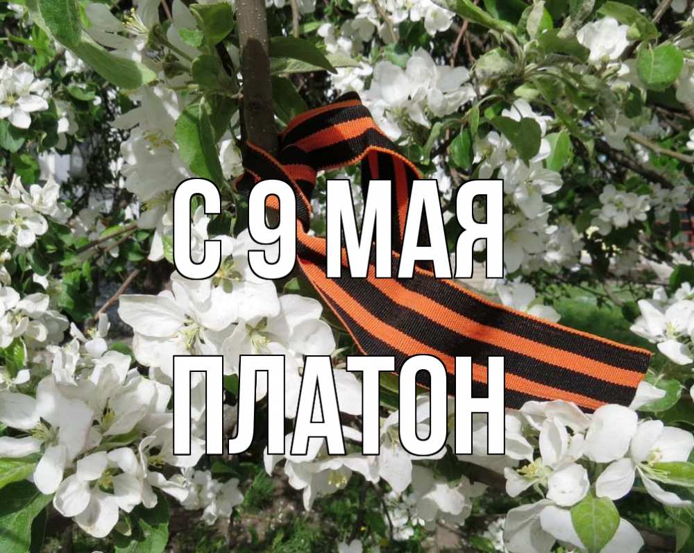 Открытка на каждый день с именем, Платон С 9 мая 9 мая Прикольная открытка с пожеланием онлайн скачать бесплатно 