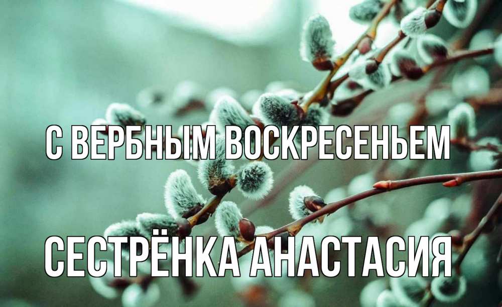 Открытка на каждый день с именем, Сестрёнка-Анастасия С вербным воскресеньем верба Прикольная открытка с пожеланием онлайн скачать бесплатно 