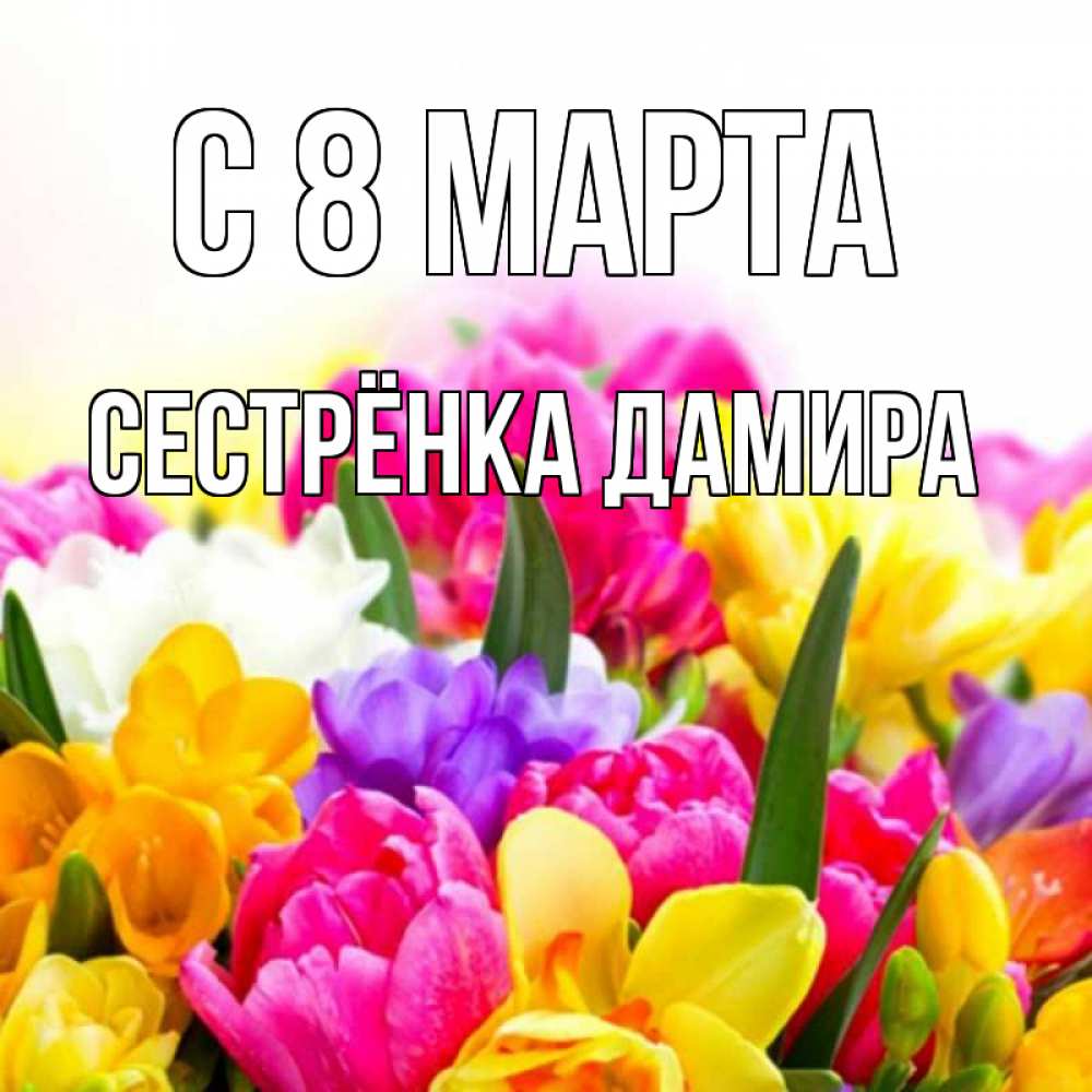 Открытка на каждый день с именем, Сестрёнка-Дамира С 8 МАРТА тюльпаны Прикольная открытка с пожеланием онлайн скачать бесплатно 