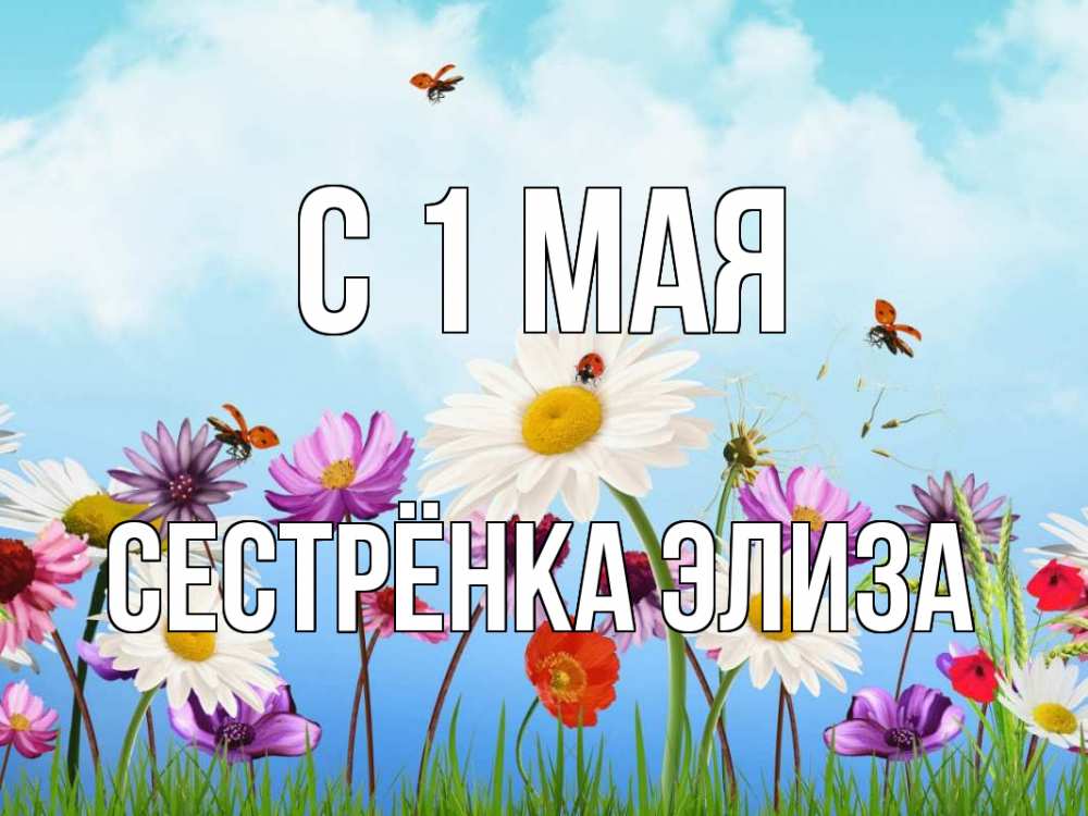 Открытка на каждый день с именем, Сестрёнка-Элиза С 1 мая С 1 мая Прикольная открытка с пожеланием онлайн скачать бесплатно 