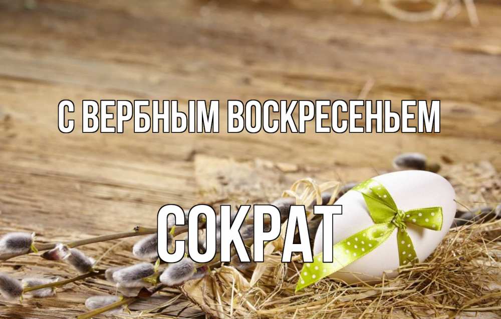 Открытка на каждый день с именем, Сократ С вербным воскресеньем верба Прикольная открытка с пожеланием онлайн скачать бесплатно 