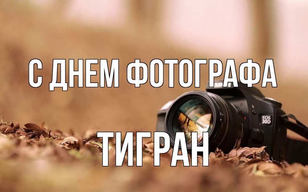 Открытка на каждый день с именем, Тигран С днем фотографа с днем фотографа Прикольная открытка с пожеланием онлайн скачать бесплатно 