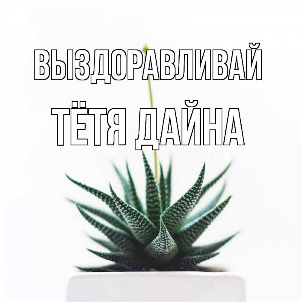 Открытка на каждый день с именем, Тётя-Дайна Выздоравливай короче это непонятная колючка Прикольная открытка с пожеланием онлайн скачать бесплатно 