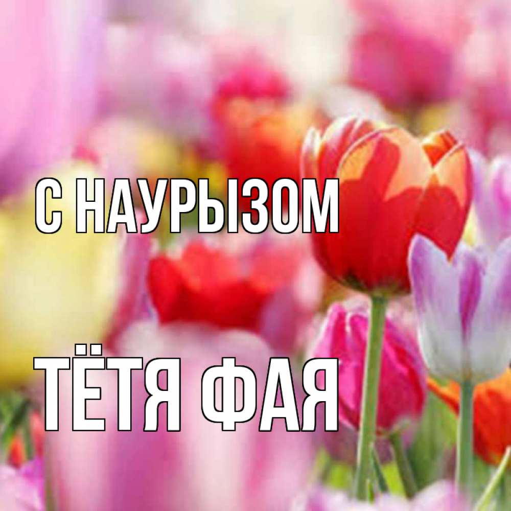 Открытка на каждый день с именем, Тётя-Фая С наурызом праздник весны наурыз 67 Прикольная открытка с пожеланием онлайн скачать бесплатно 