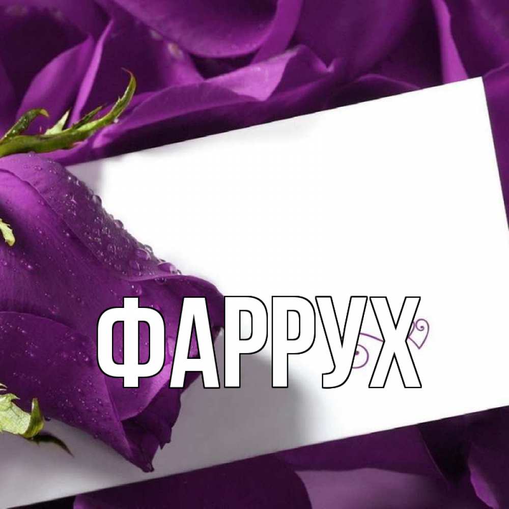 Открытка на каждый день с именем, Фаррух Главная роза Прикольная открытка с пожеланием онлайн скачать бесплатно 