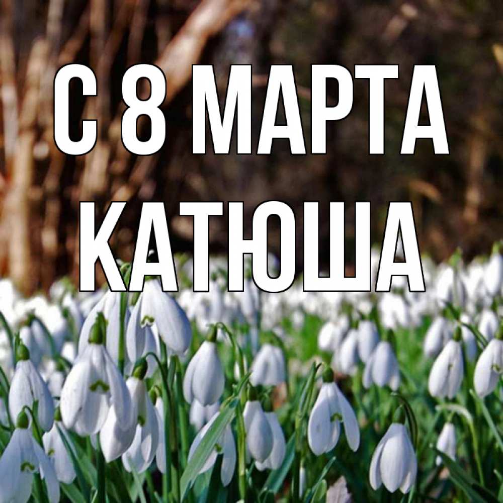 Открытка на каждый день с именем, катюша С 8 марта с подснежниками 1 Прикольная открытка с пожеланием онлайн скачать бесплатно 