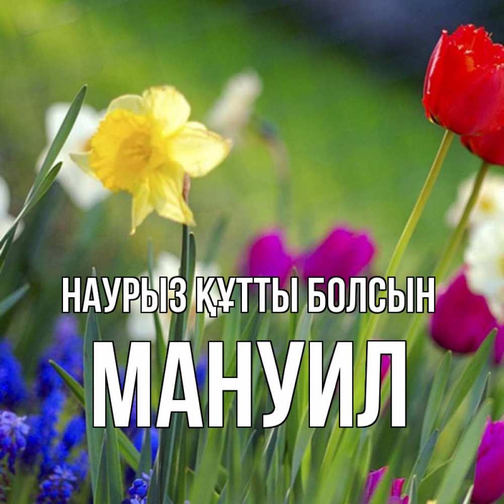 Открытка на каждый день с именем, Мануил Наурыз құтты болсын наурыз  3 открытки Прикольная открытка с пожеланием онлайн скачать бесплатно 