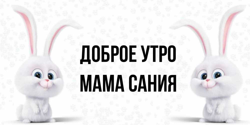 Открытка на каждый день с именем, Мама-Сания Доброе утро кролики с длинными ушками Прикольная открытка с пожеланием онлайн скачать бесплатно 