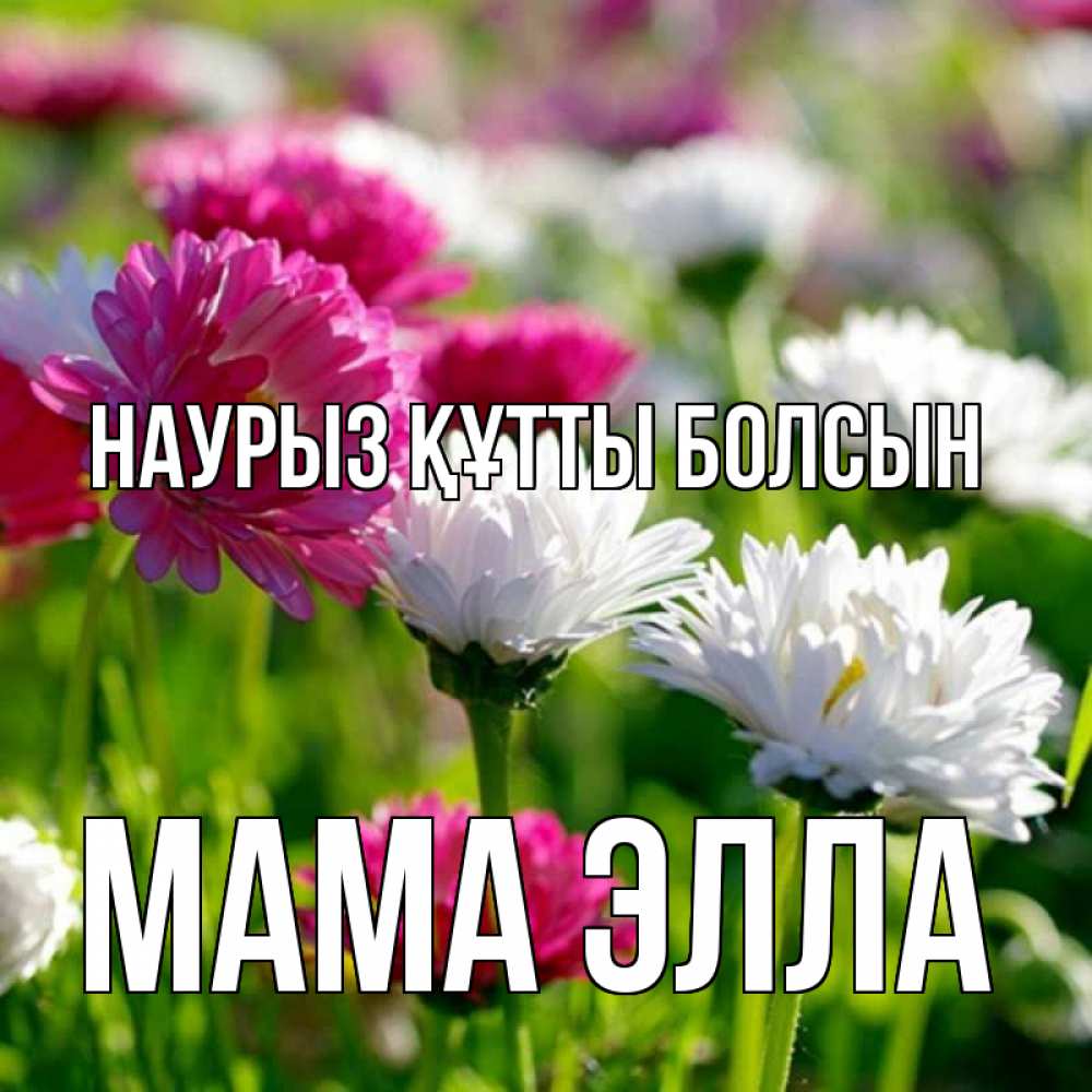 Открытка на каждый день с именем, Мама-Элла Наурыз құтты болсын наурыз Прикольная открытка с пожеланием онлайн скачать бесплатно 