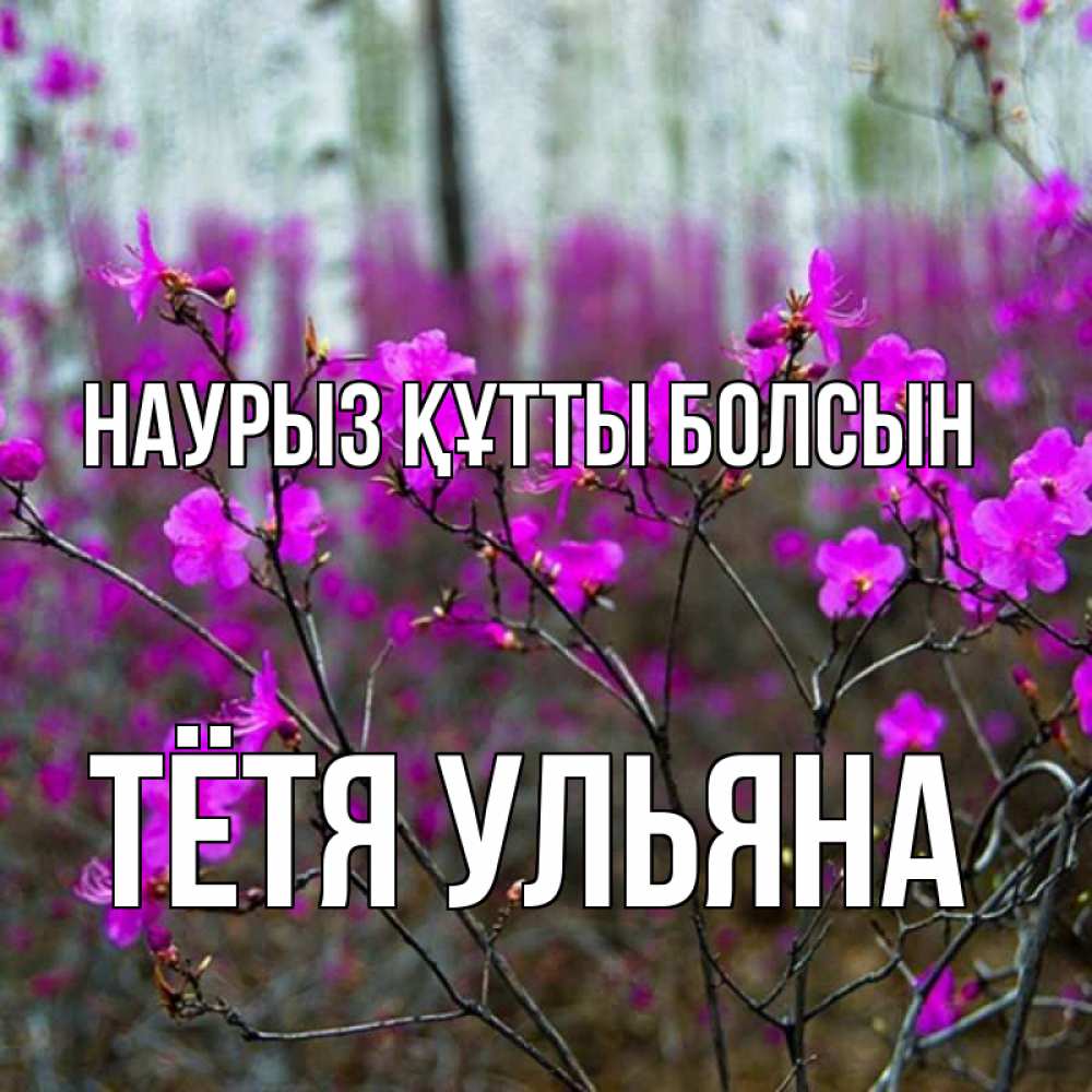 Открытка на каждый день с именем, Тётя-Ульяна Наурыз құтты болсын дикие цветы Прикольная открытка с пожеланием онлайн скачать бесплатно 