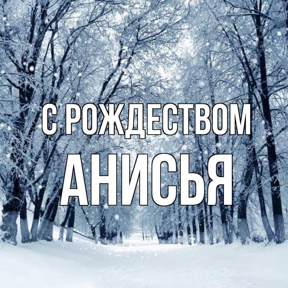 Открытка на каждый день с именем, Анисья С рождеством снег, лес, парк Прикольная открытка с пожеланием онлайн скачать бесплатно 