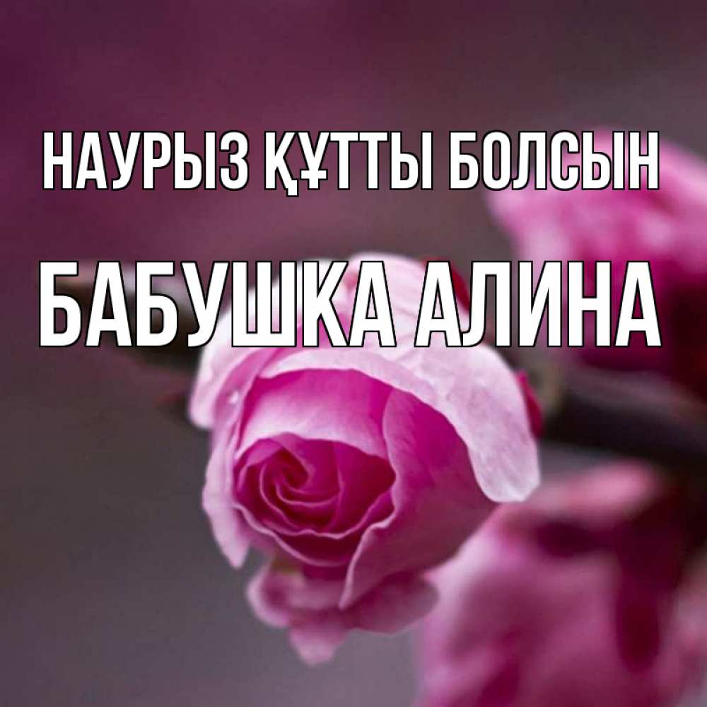 Открытка на каждый день с именем, Бабушка-Алина Наурыз құтты болсын весна Прикольная открытка с пожеланием онлайн скачать бесплатно 