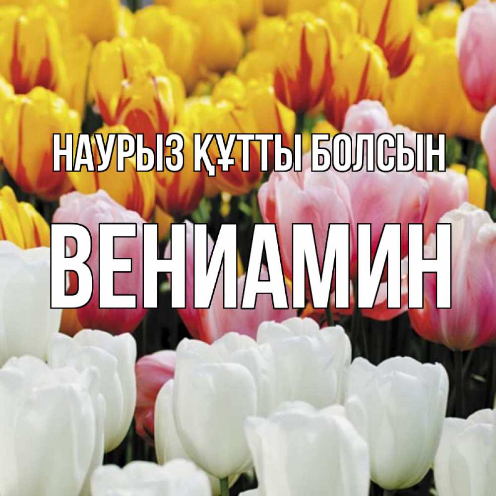Открытка на каждый день с именем, Вениамин Наурыз құтты болсын разноцветные цветы Прикольная открытка с пожеланием онлайн скачать бесплатно 