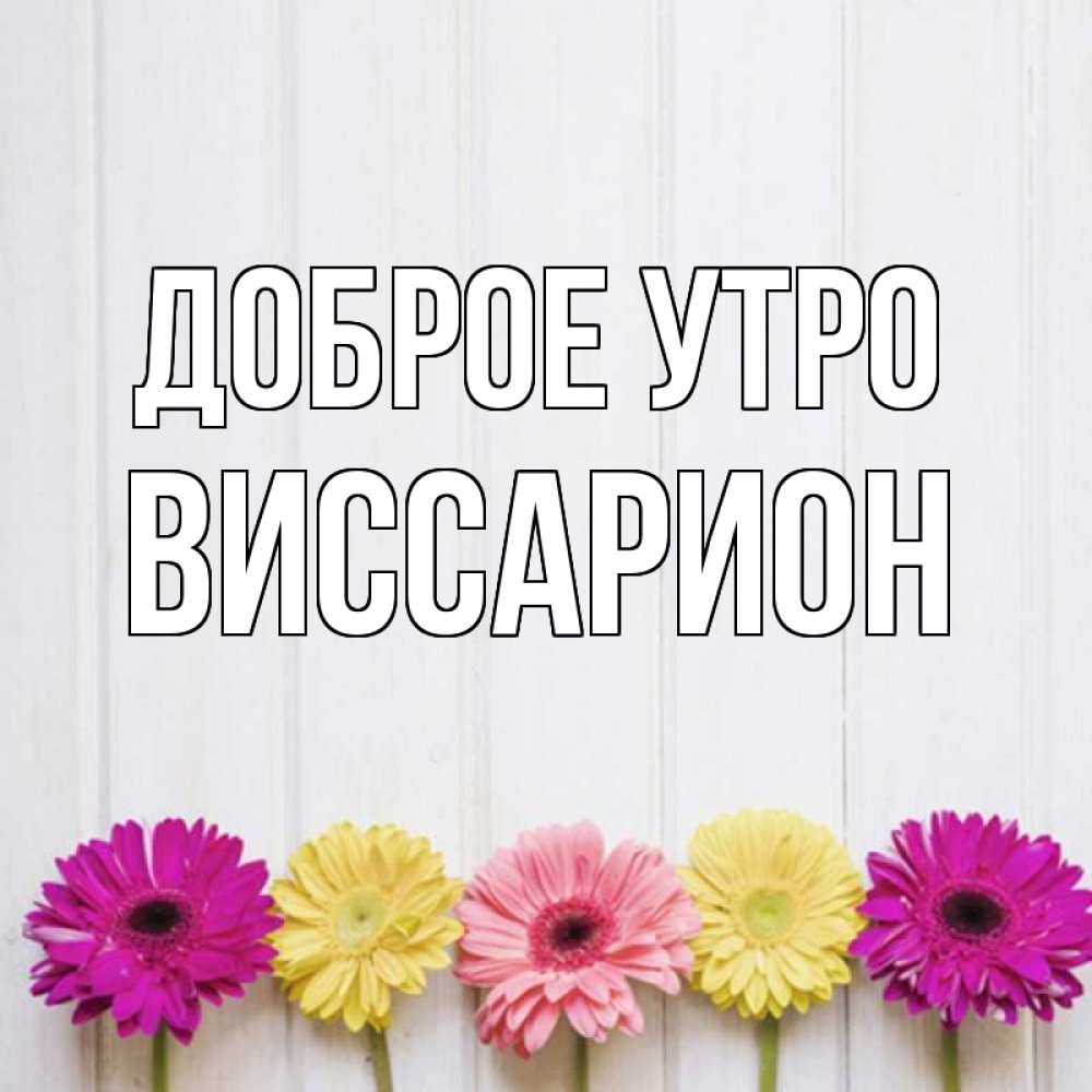 Открытка на каждый день с именем, Виссарион Доброе утро красный желтый и розовый цветок Прикольная открытка с пожеланием онлайн скачать бесплатно 